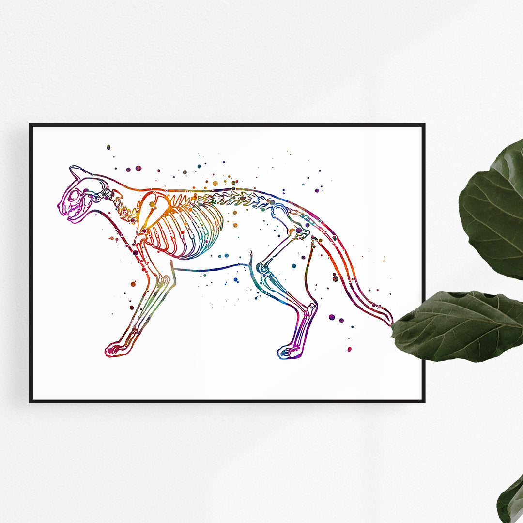 Cat Skeletom Anatomy Watercolor Art Print