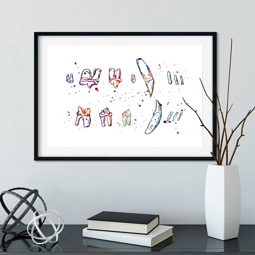 Veterinary wall art: watercolor feline teeth chart for clinics.