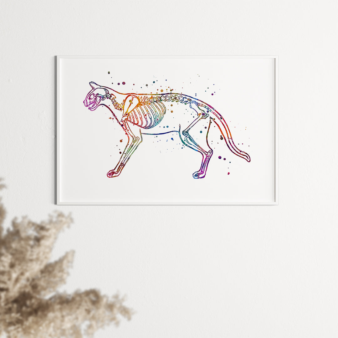 Cat Skeletom Anatomy Watercolor Art Print