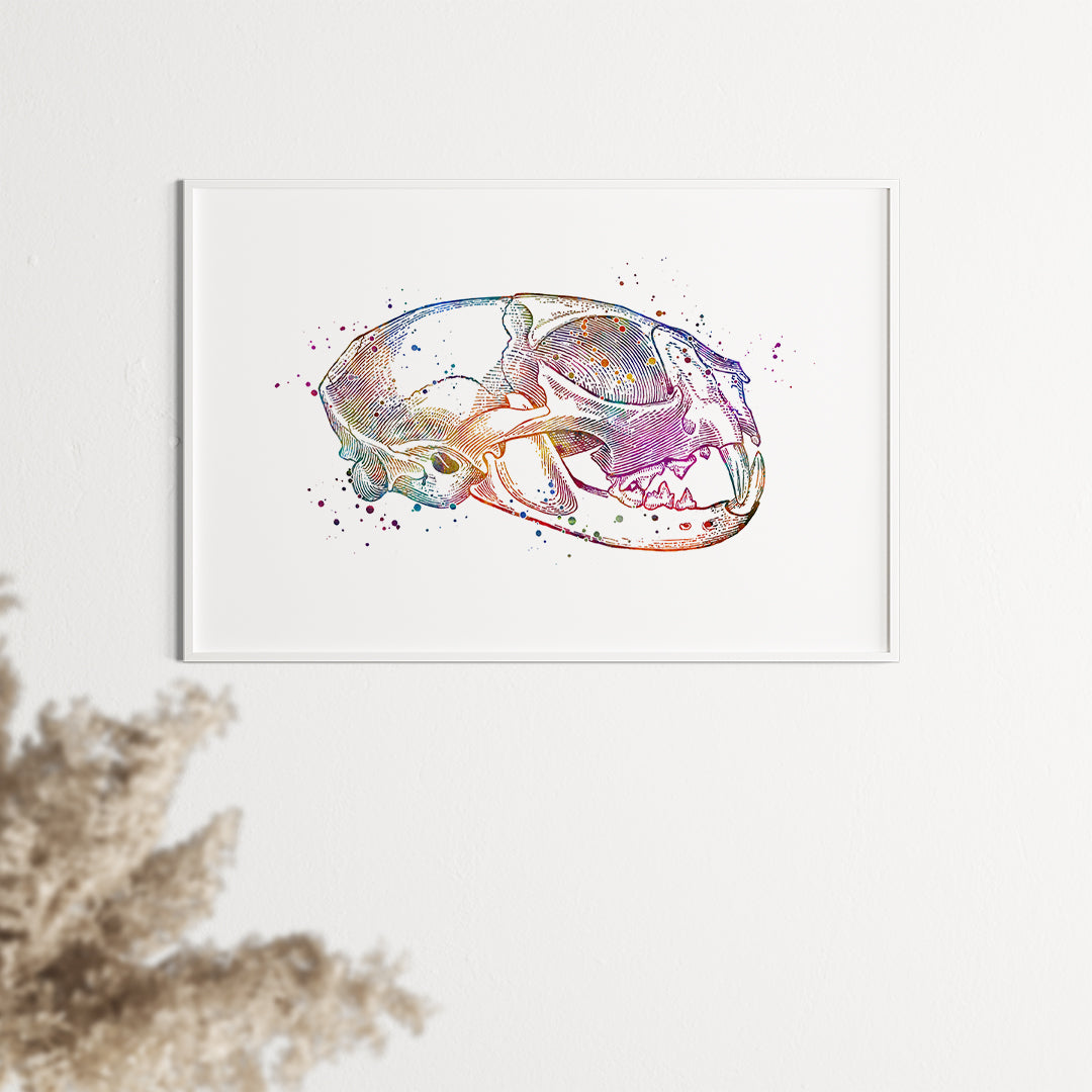 Multicolored watercolor illustration of a feline skull for animal lovers.