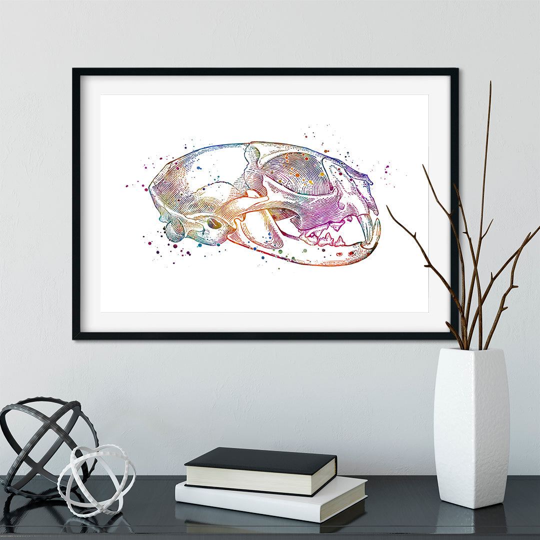 Cat Skull Anatomical Watercolor Art Print
