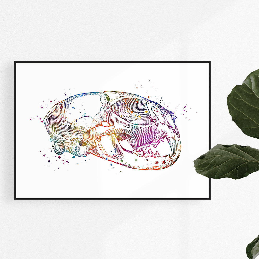 Cat skull anatomical watercolor print, perfect for veterinary clinic decor.