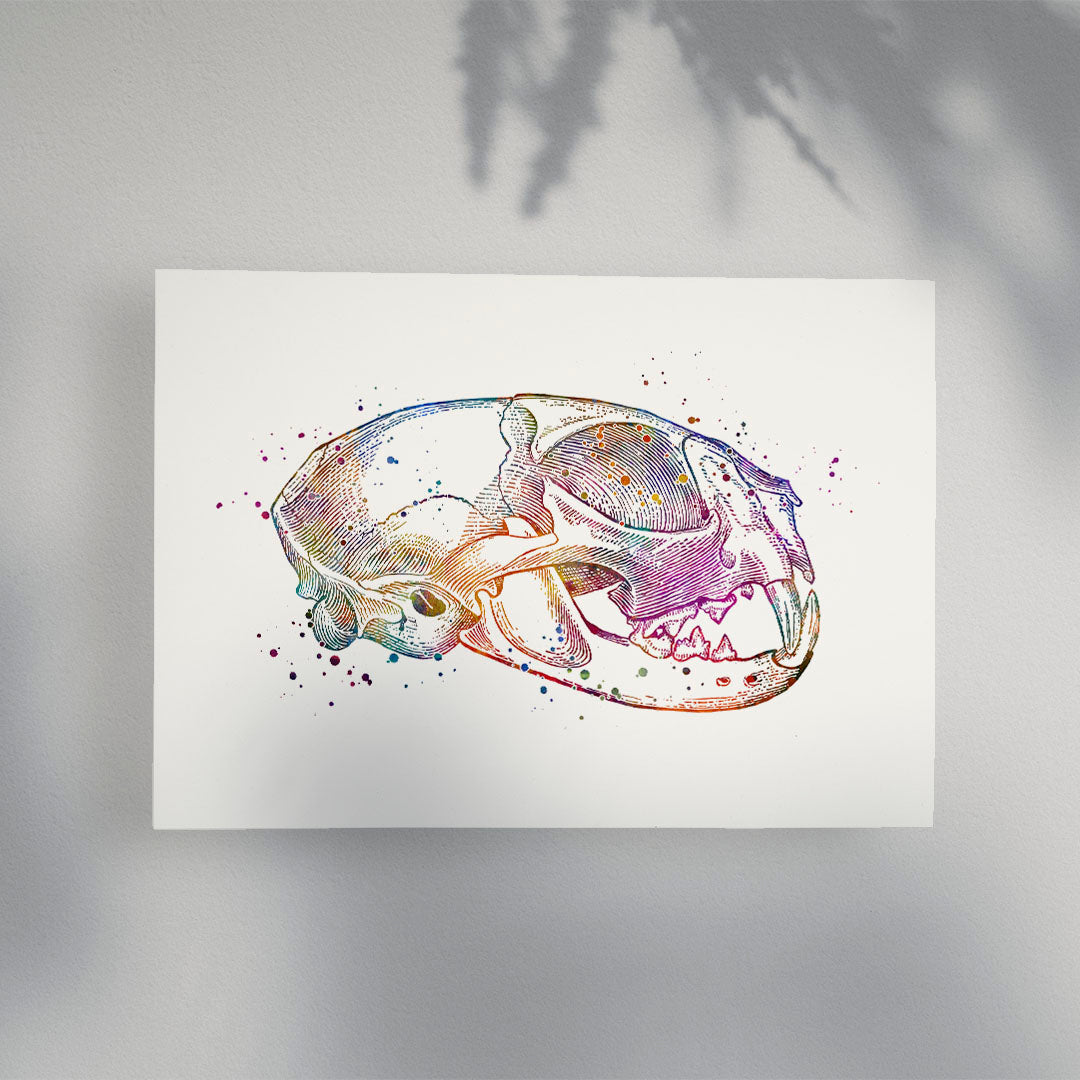 Cat Skull Anatomical Watercolor Art Print
