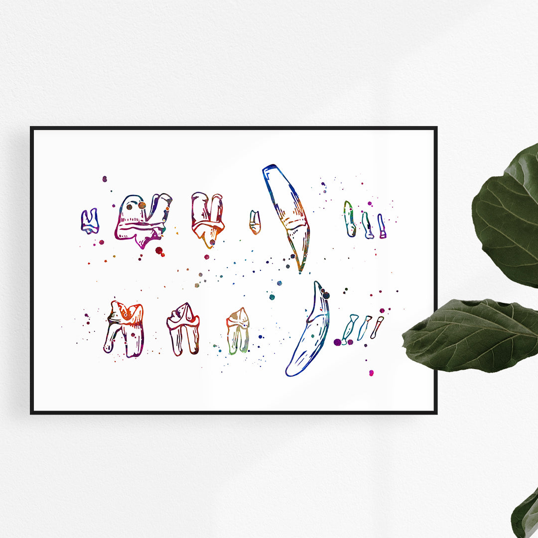 Cat teeth chart watercolor print for veterinary clinic decor.