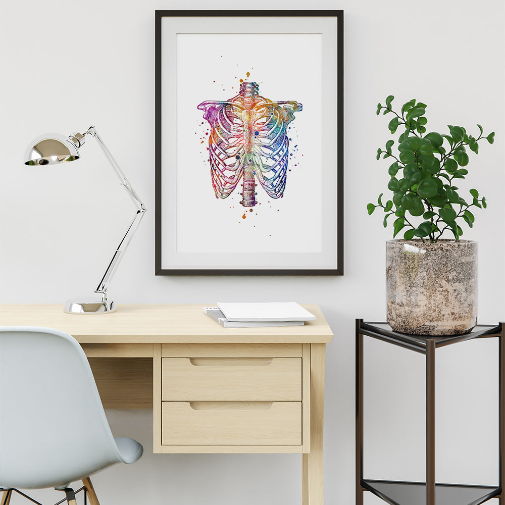 Rib Cage anatomy art watercolor print for doctor office decor