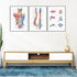 Anatomy watercolor print featuring the spinal cord, perfect for medical office decor.