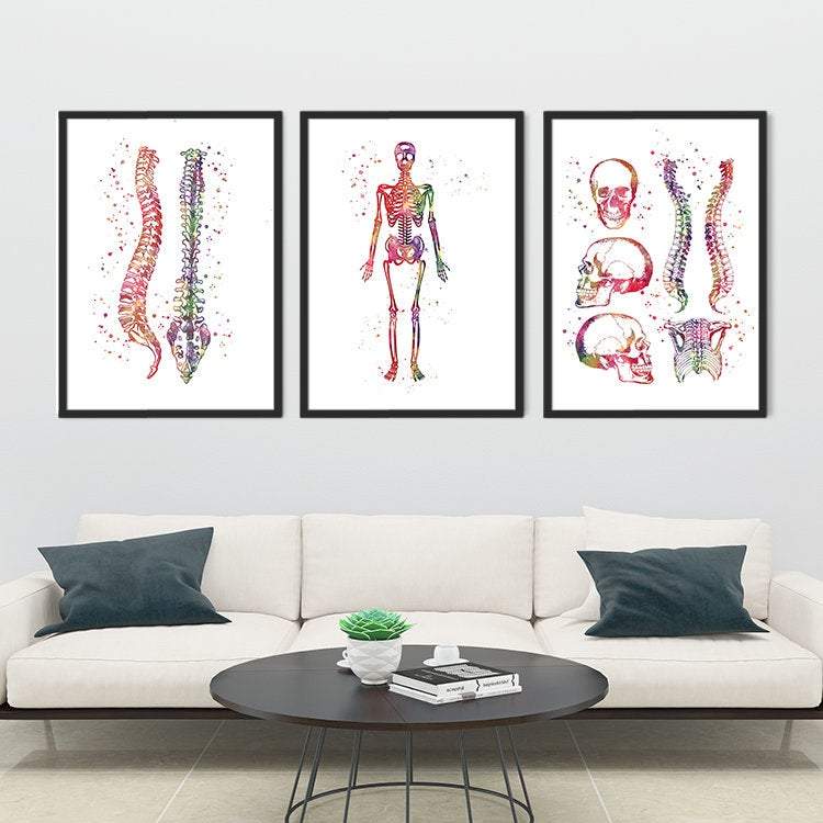 Chiropractic Clinic Wall Art Decor Set of 3 Prints