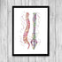 Chiropractic Clinic Wall Art Decor Set of 3 Prints