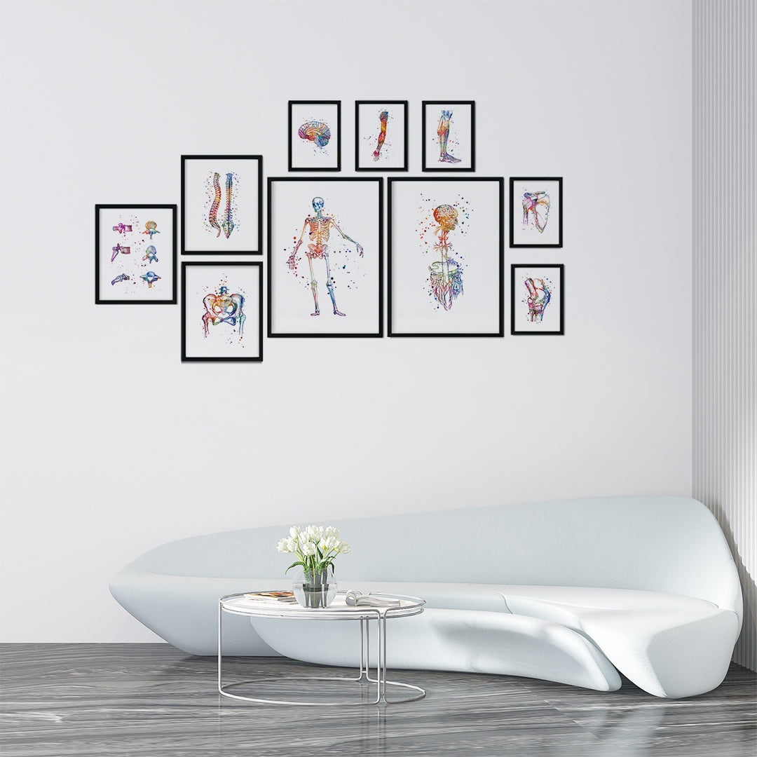 Vibrant anatomical watercolor print set with 10 designs, perfect for educational or professional healthcare spaces.