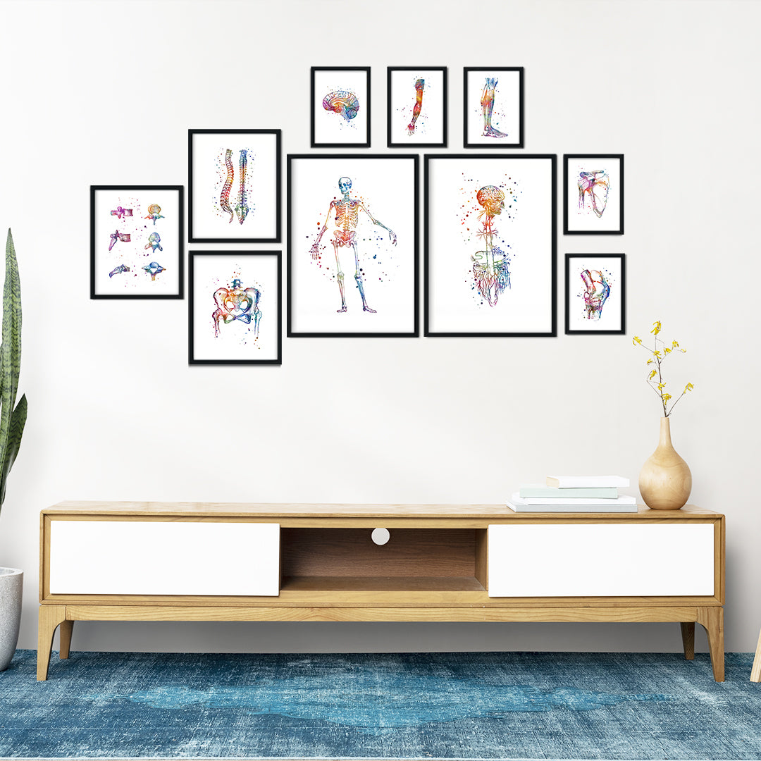 Set of 10 anatomical watercolor prints featuring the skeleton, vagus nerve, spine, and joints, perfect for clinics or medical offices.