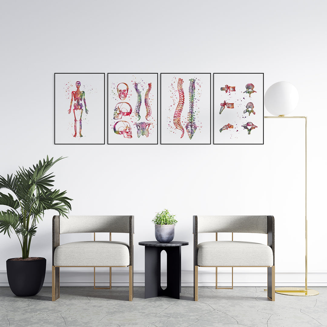 Set of 4 Anatomical Art Prints for Chiropractic Office Decor