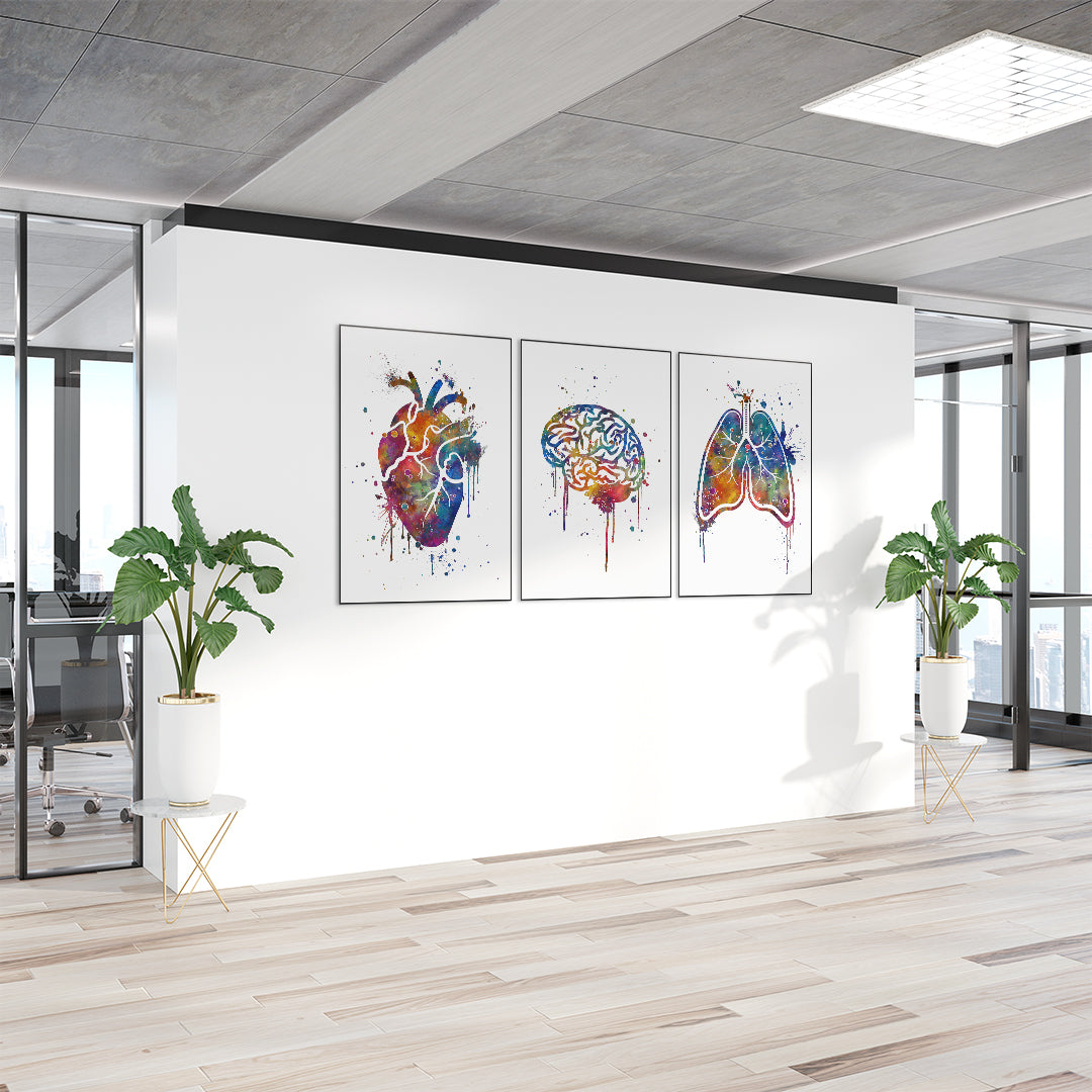 Colorful splash anatomy art prints, set of 3 for Clinic wall decoration