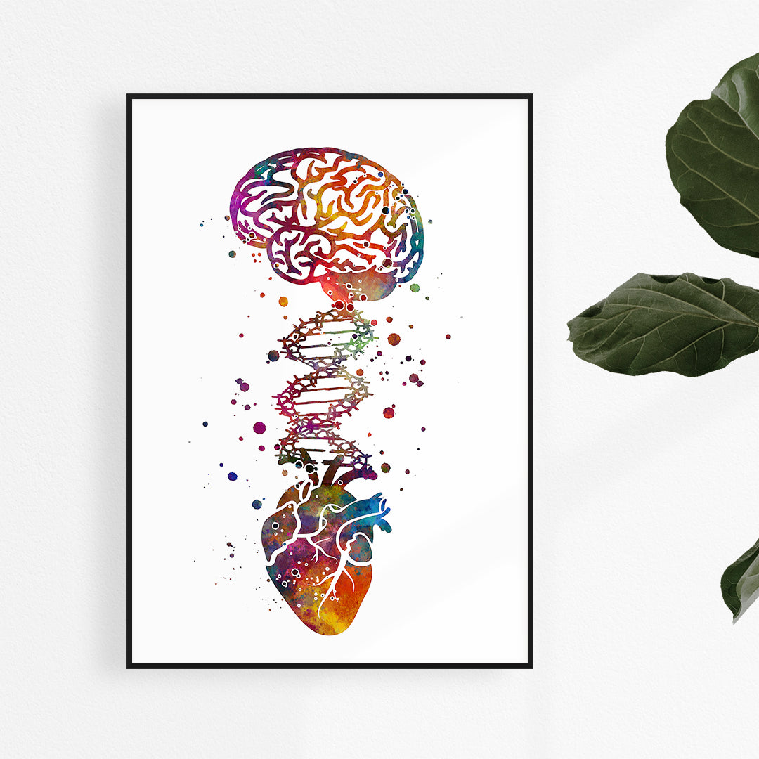 Heart and brain connected by DNA watercolor print, vibrant multicolors on premium textured paper, perfect for medical professionals and students