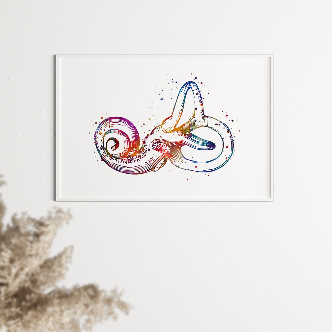 Colorful Bony Labyrinth watercolor print, perfect for audiology and ENT decor.