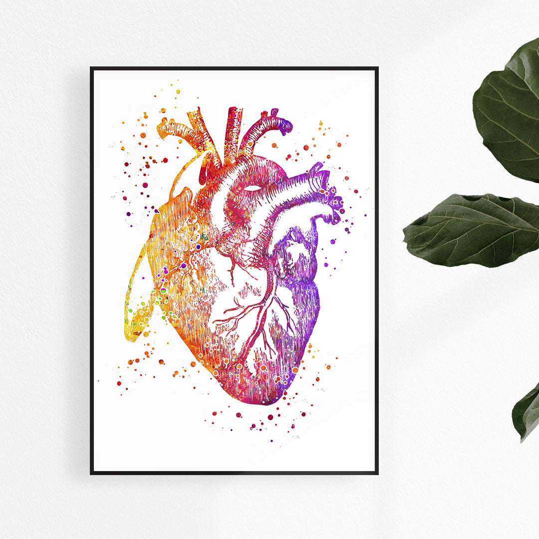 Colorful Anatomical Heart Watercolor Print for medical office decor, perfect as a cardiology gift or nurse's room decoration.