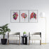 Set of 3 anatomical art prints for clinic Waiting room decor