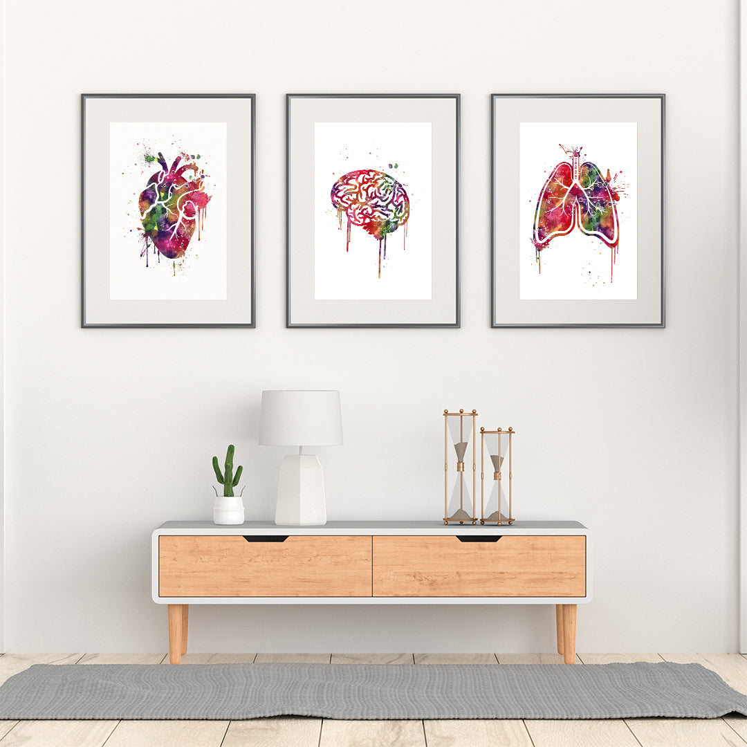 Anatomy Art Set of 3 Watercolor Prints