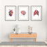 Anatomy Art Set of 3 Watercolor Prints