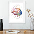 Artistic brain anatomy watercolor poster, a unique educational decor piece for medical professionals.