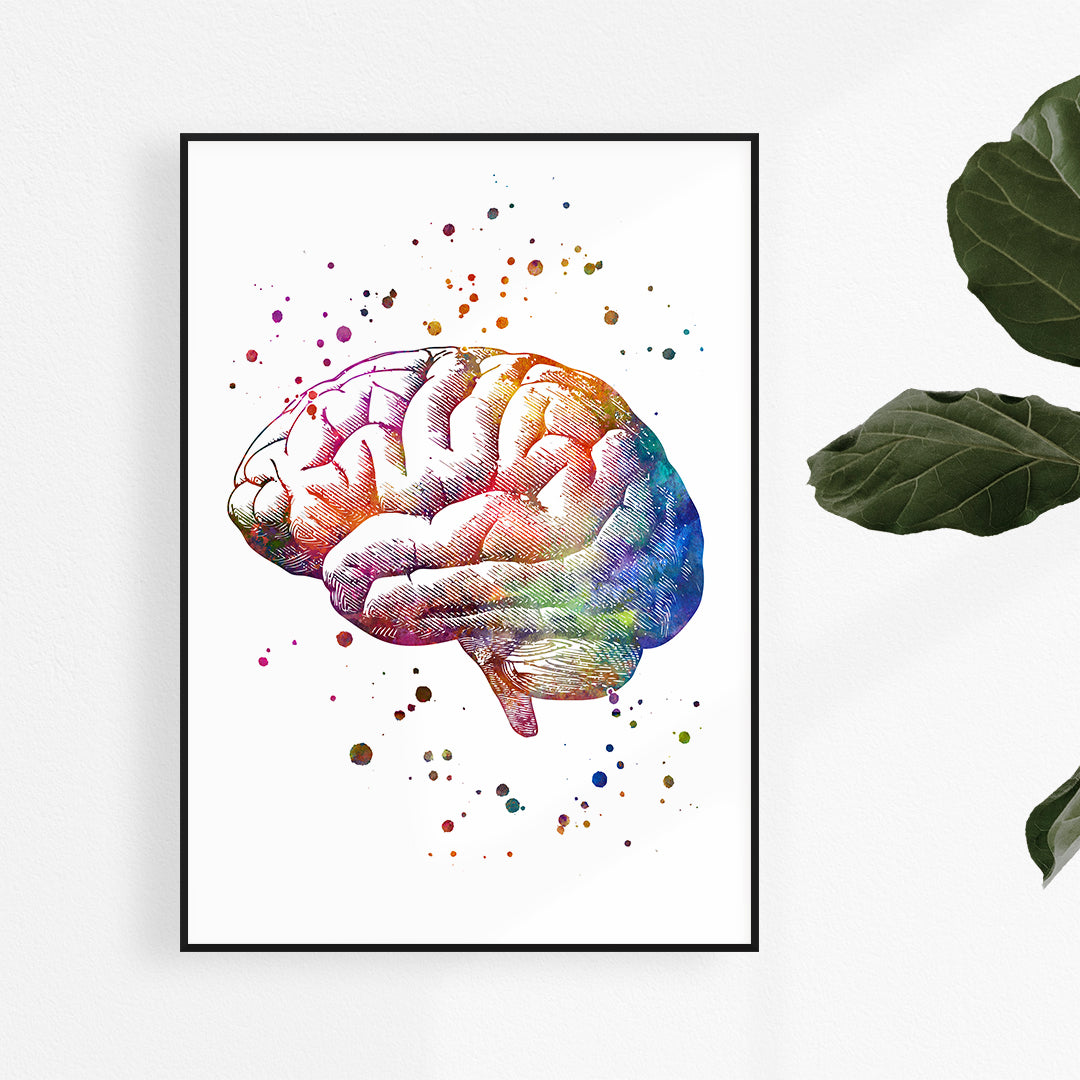 Vibrant watercolor brain anatomy print, perfect for neuroscience enthusiasts and medical office decor.