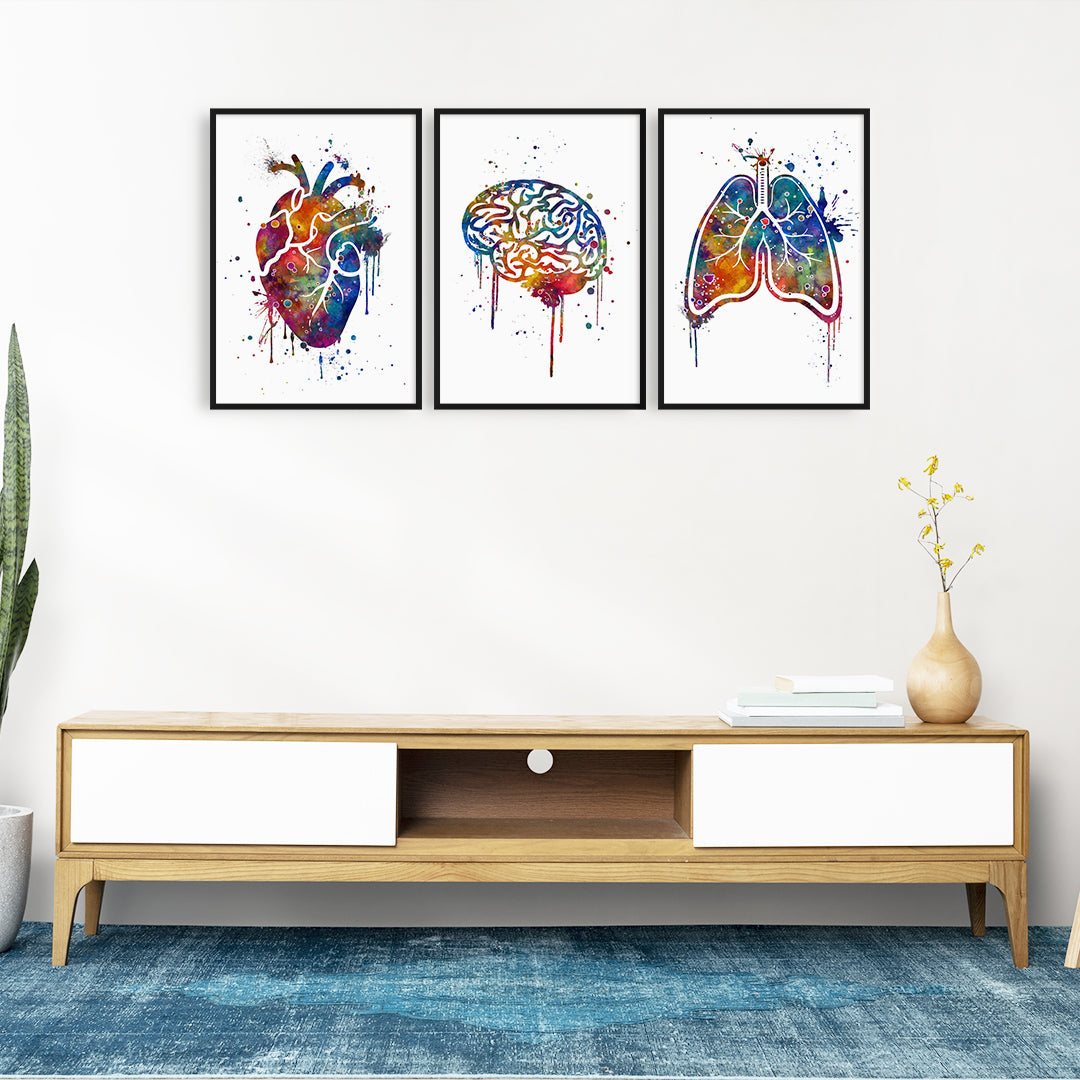 Set of 3 Art Prints Human Brain Heart and Lungs