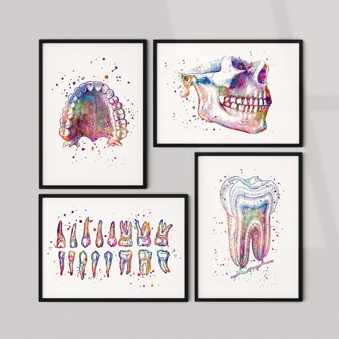 Dental art set of 4 watercolor prints for a dentist's office, featuring vibrant anatomical designs for dental decor.