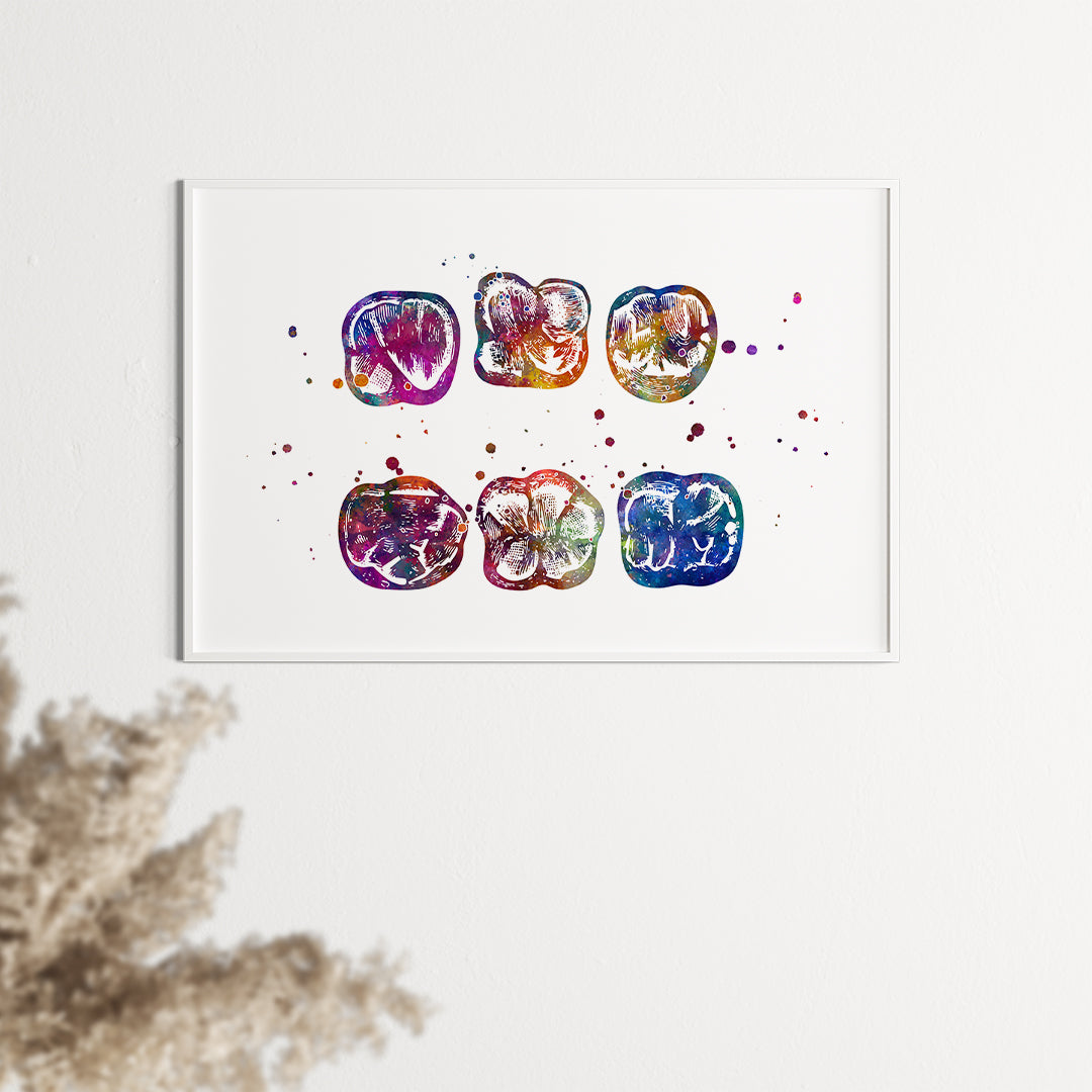 Artistic molar surface watercolor print, a unique addition to any dental office decor