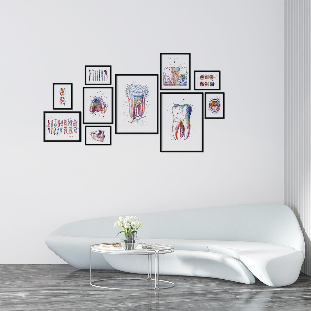 Dental Anatomy Wall Art – Set of 10 Watercolor Prints