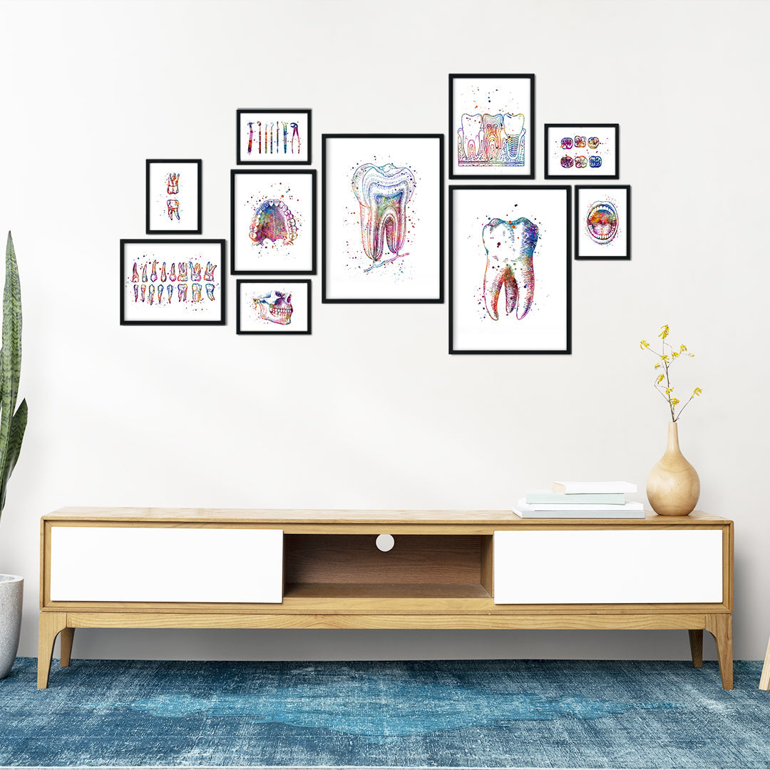 Dental Anatomy Wall Art – Set of 10 Watercolor Prints