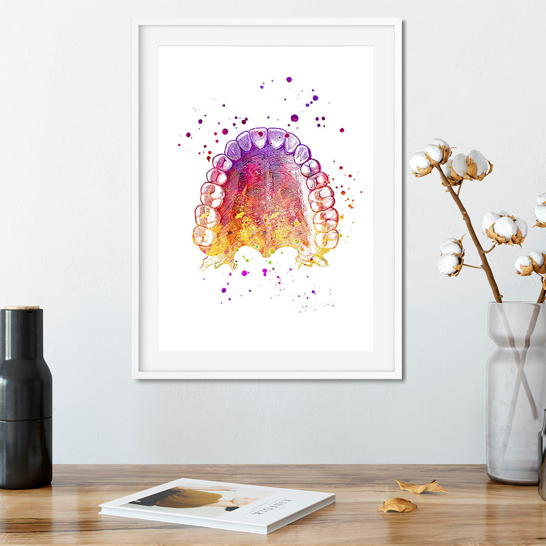 Teeth and Palate Anatomy Print – Dental Office Wall Art