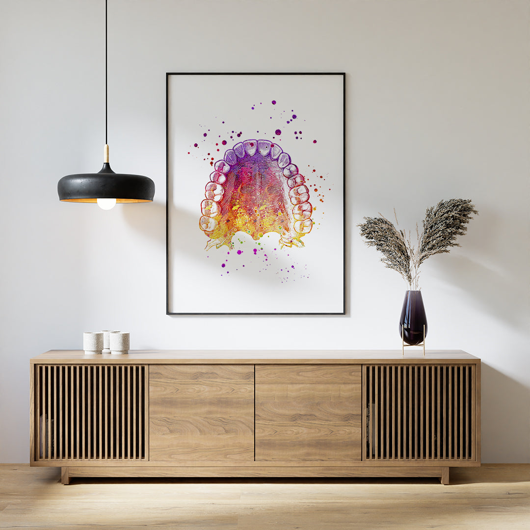 Teeth and Palate Anatomy Print – Dental Office Wall Art
