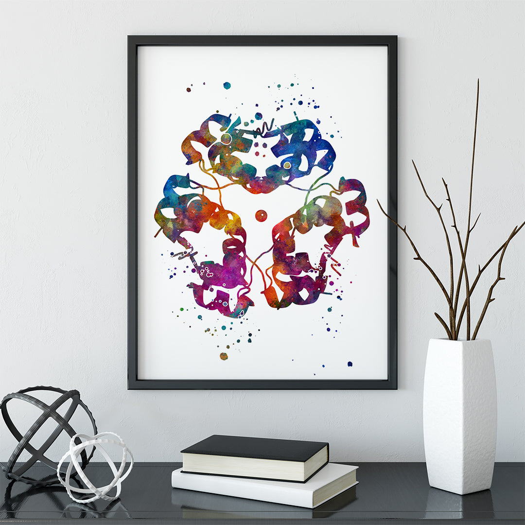 Endocrinology art poster featuring insulin structure in bright watercolor tones, great for science lovers and medical gifts.