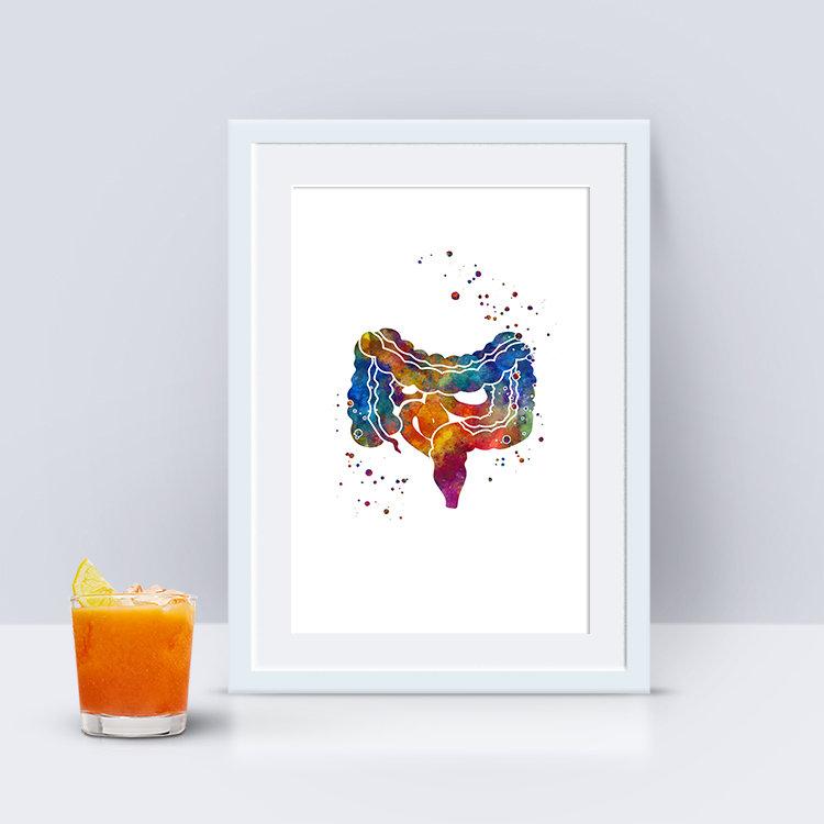 Large and Small Intestine Gi Tract Watercolor Art Print
