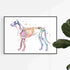 Colorful watercolor print of a dog's skeletal system for veterinary clinic decor.