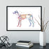 Animal anatomy poster featuring a vibrant dog skeletal system watercolor