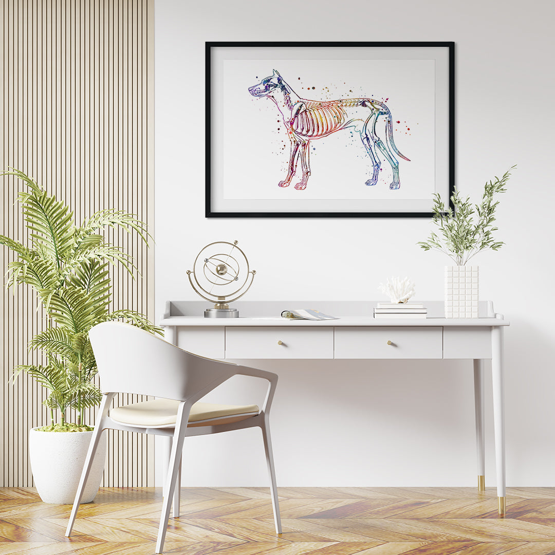 Dog anatomy watercolor art print showcasing a detailed skeletal system.