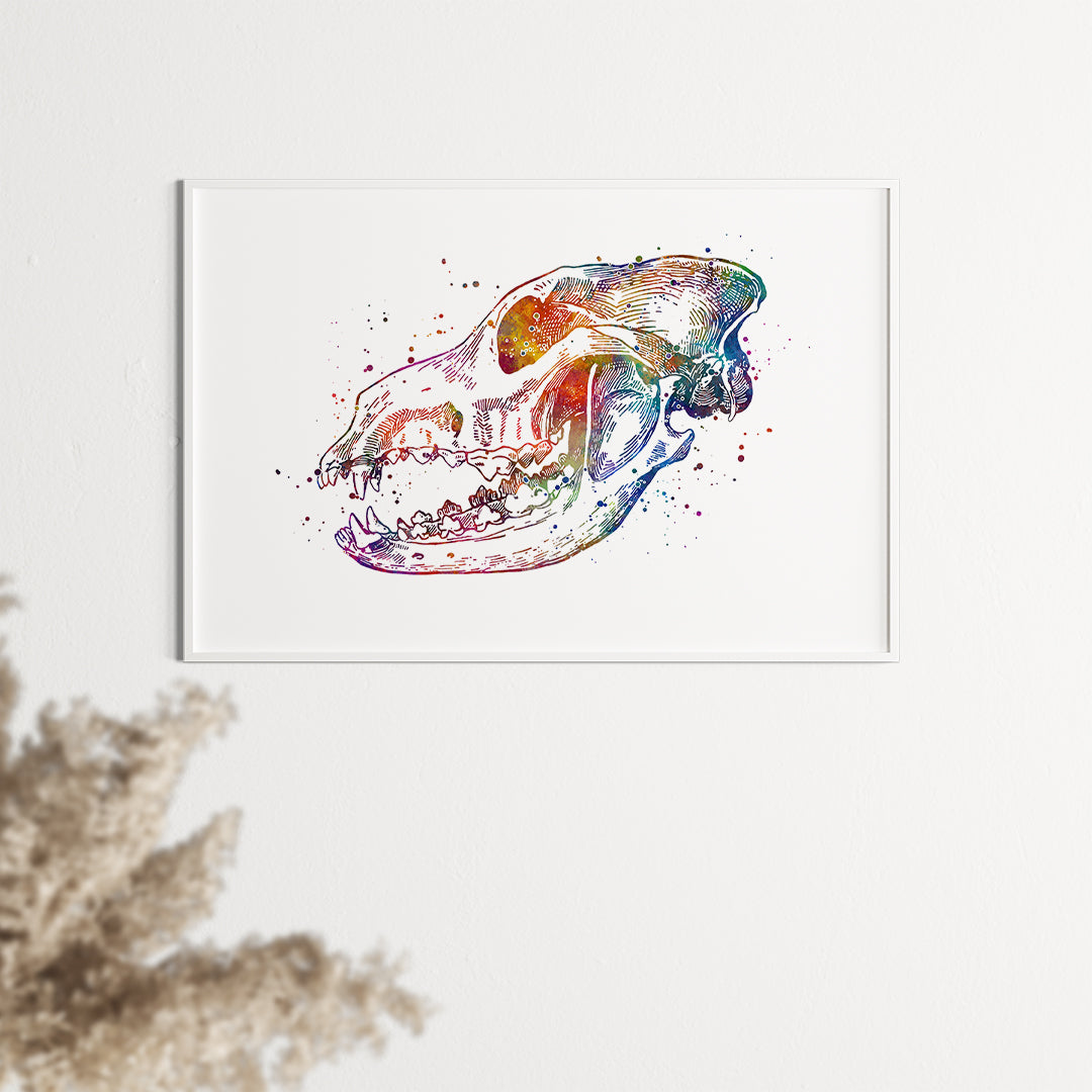 Dog anatomy art print featuring a detailed watercolor skull illustration.