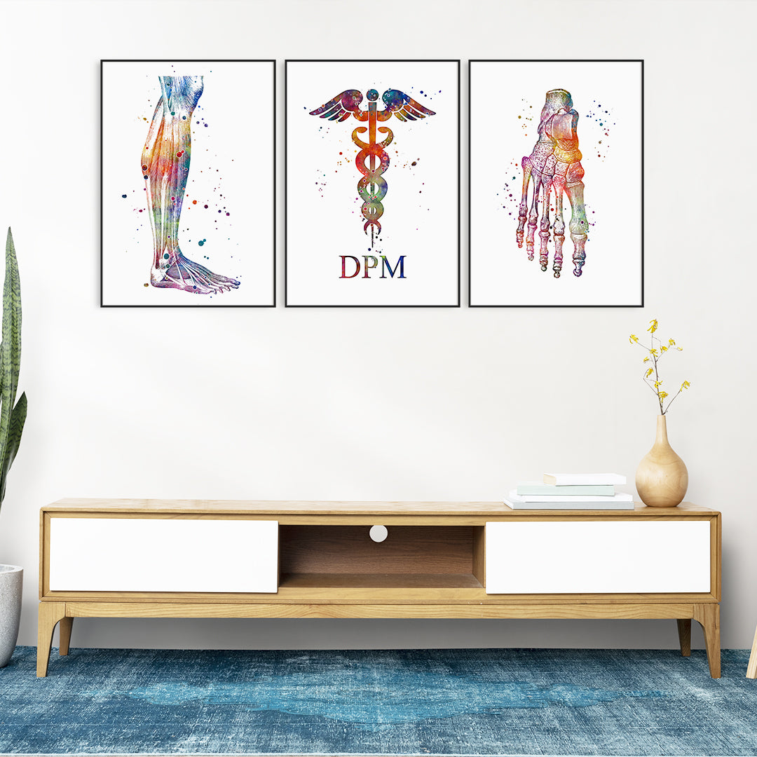 Set of 3 podology watercolor prints featuring detailed foot anatomy.