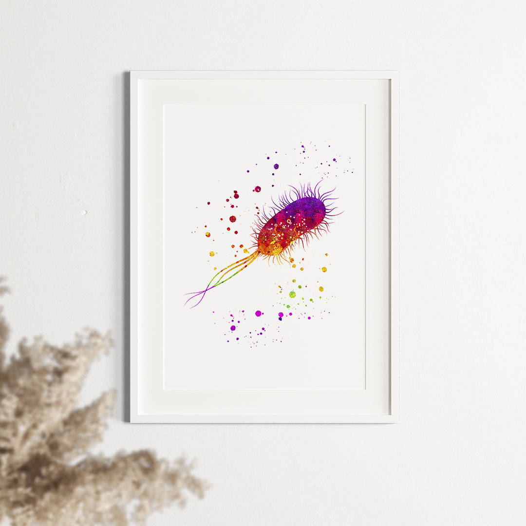 Colorful watercolor art print of E. coli, perfect for microbiology students, educators, or science lovers.