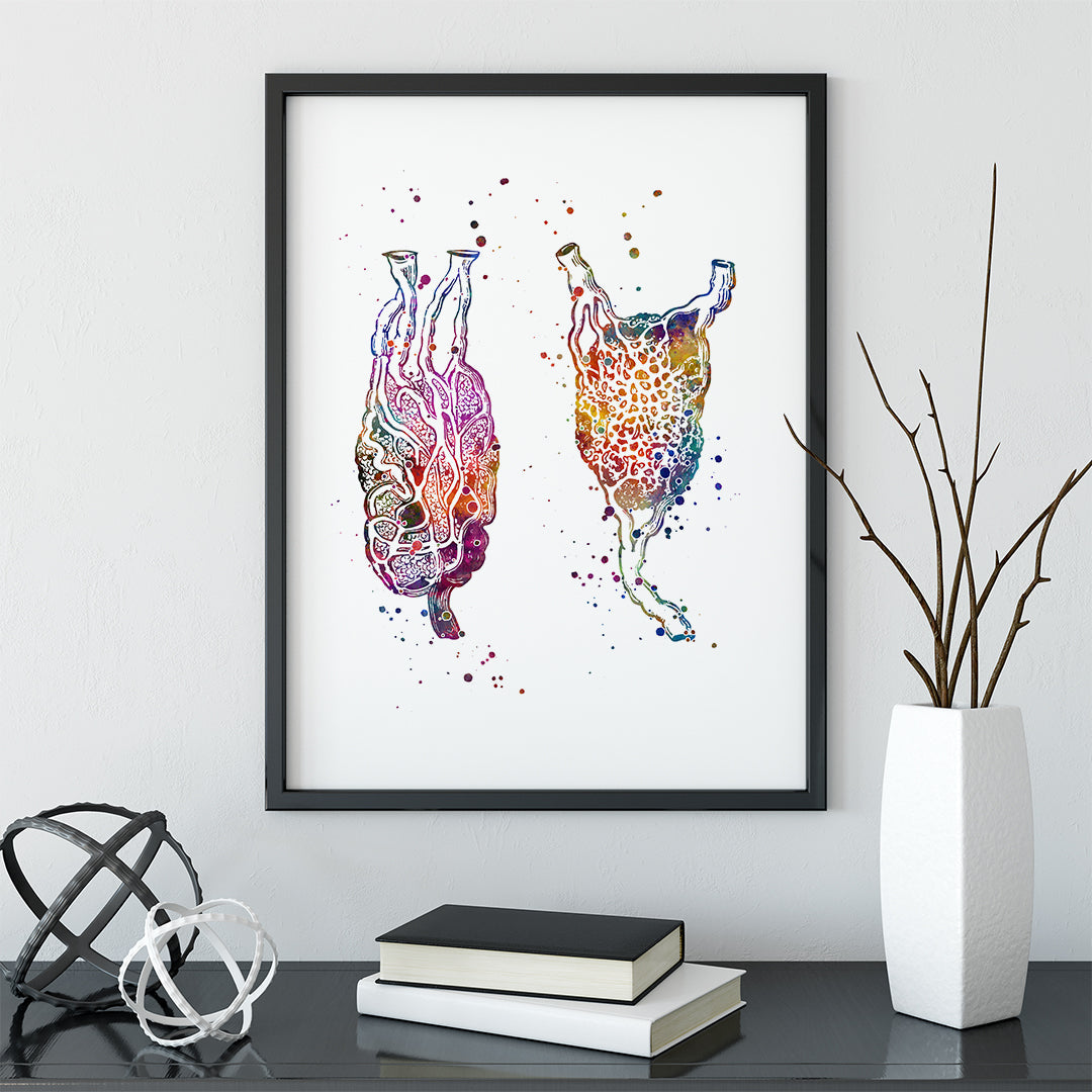 Lymph nodes Watercolor Print Endocrinology Art Poster