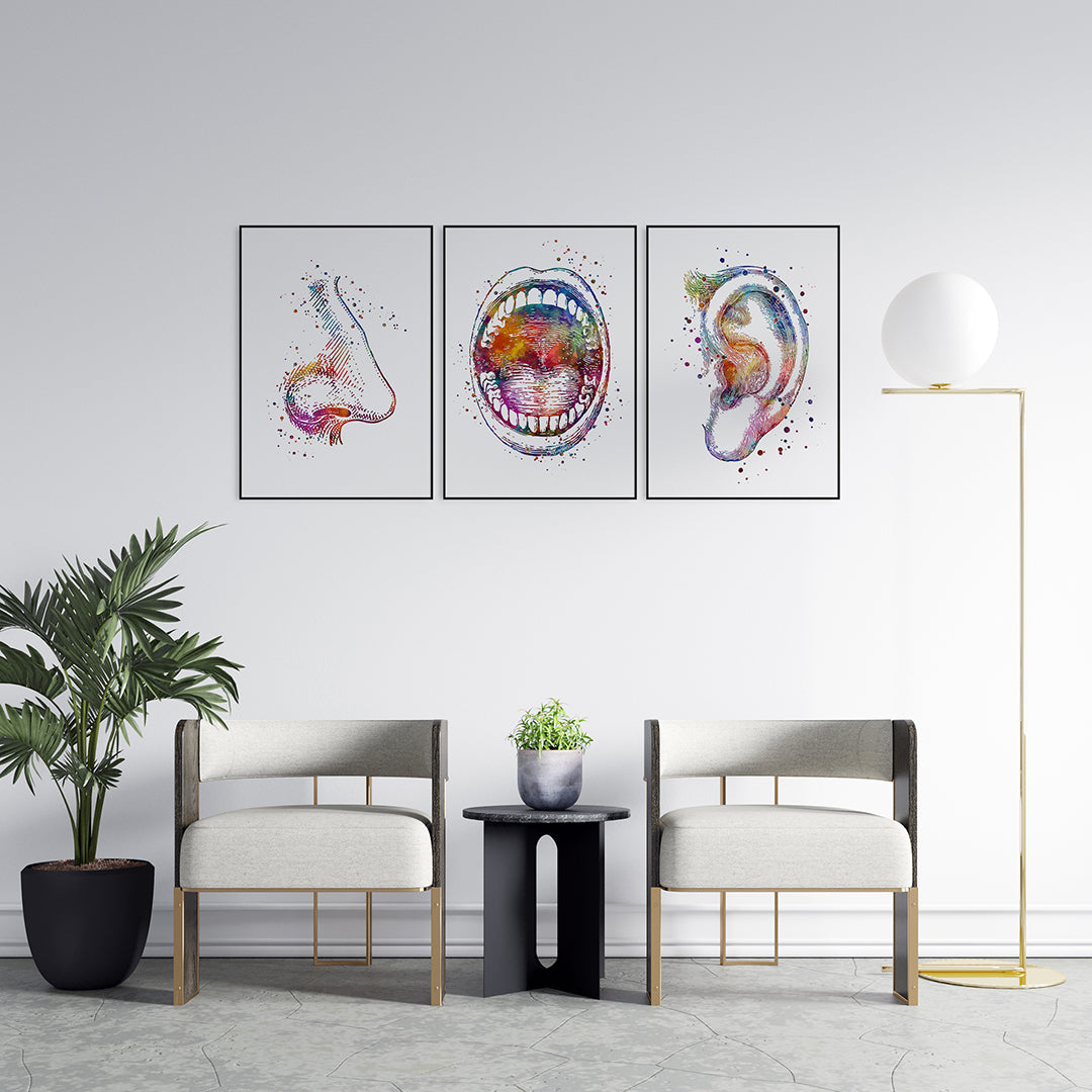 ENT anatomy art set of 3; colorful watercolor prints for medical office decor.