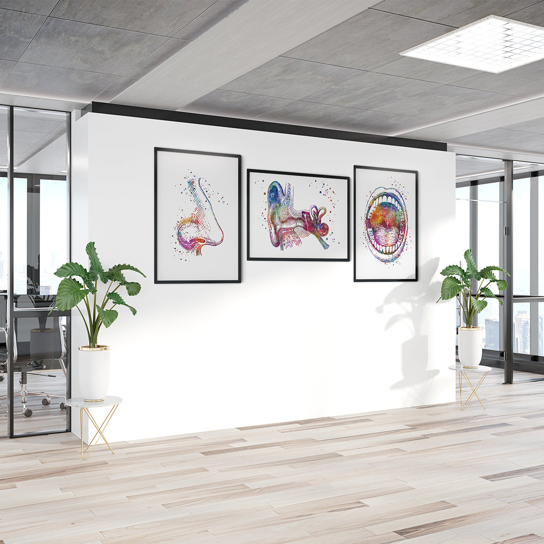 Ear Nose and Throat Watercolor Prints Set of 3