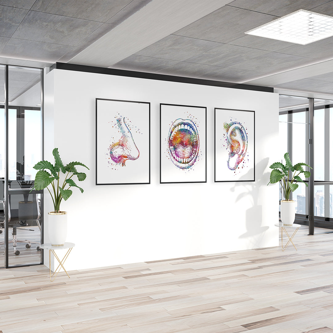 Ear Nose Throat ENT Set of 3 Watercolor Prints