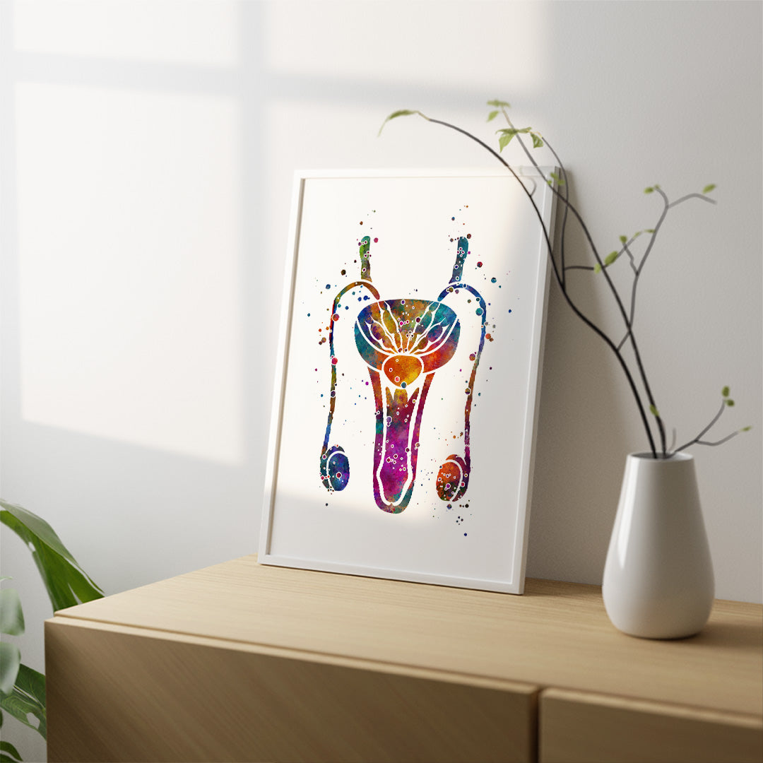 Anatomical watercolor art of the penis and male reproductive system, printed on textured paper, ideal for clinics, classrooms, and medical professionals.