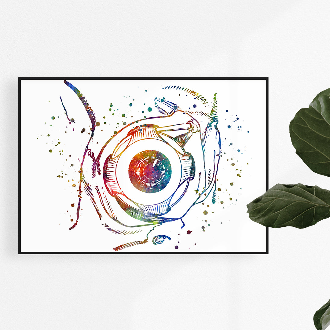 Colorful human eyeball anatomy poster, ideal for medical offices and optometry decor