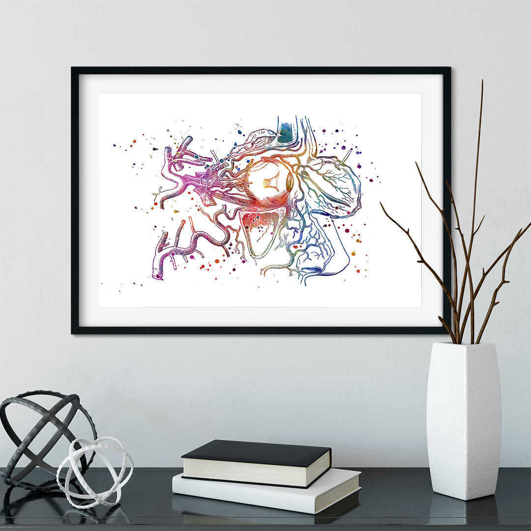 Colorful medical poster of human eye anatomy; perfect decor for optometry clinics or classrooms.