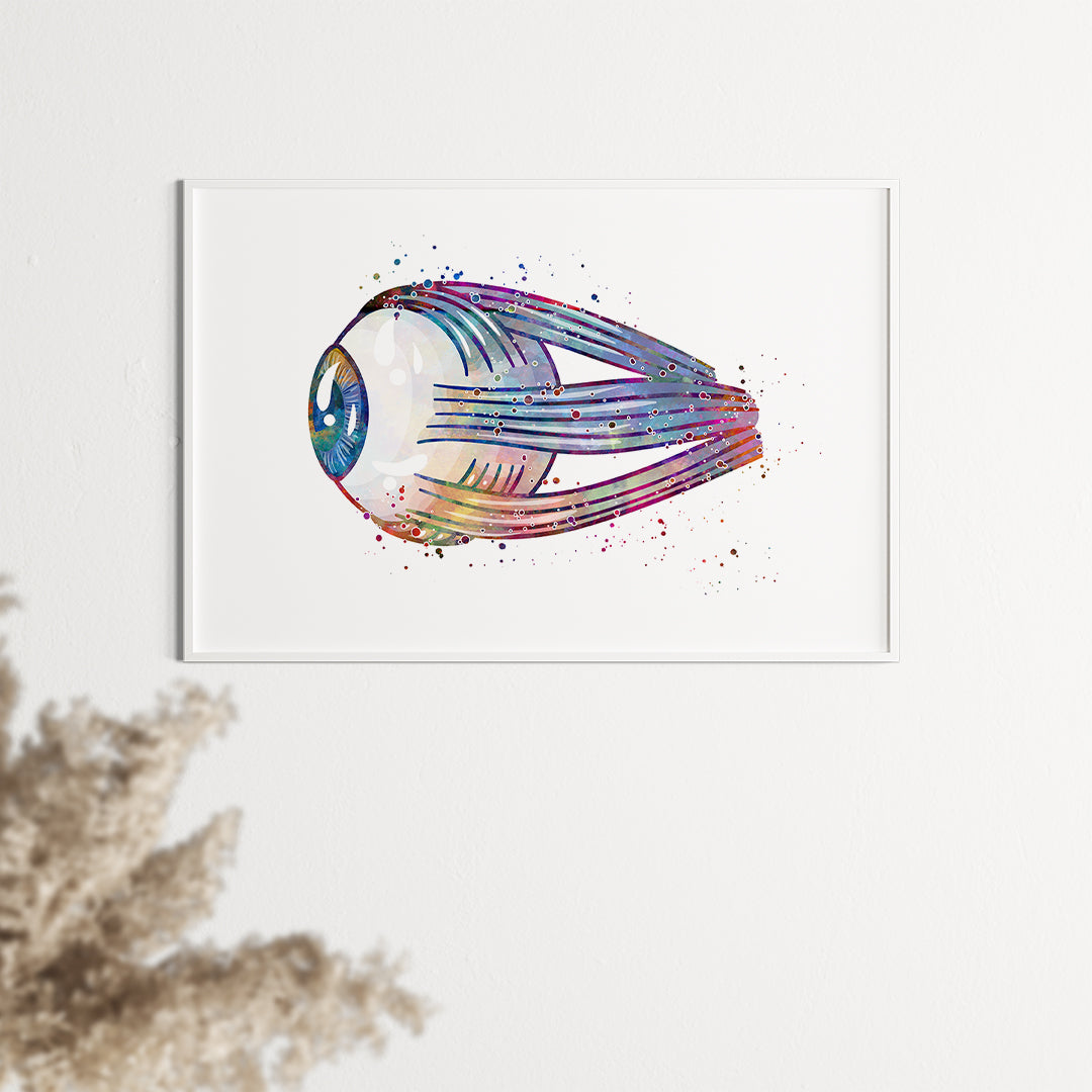 Detailed human eye anatomy print, blending art and science, ideal for medical decor.