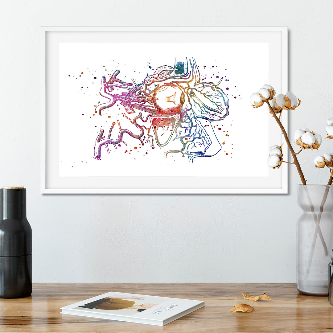 Eye anatomy art print in bright colors; ideal for educating and decorating medical offices