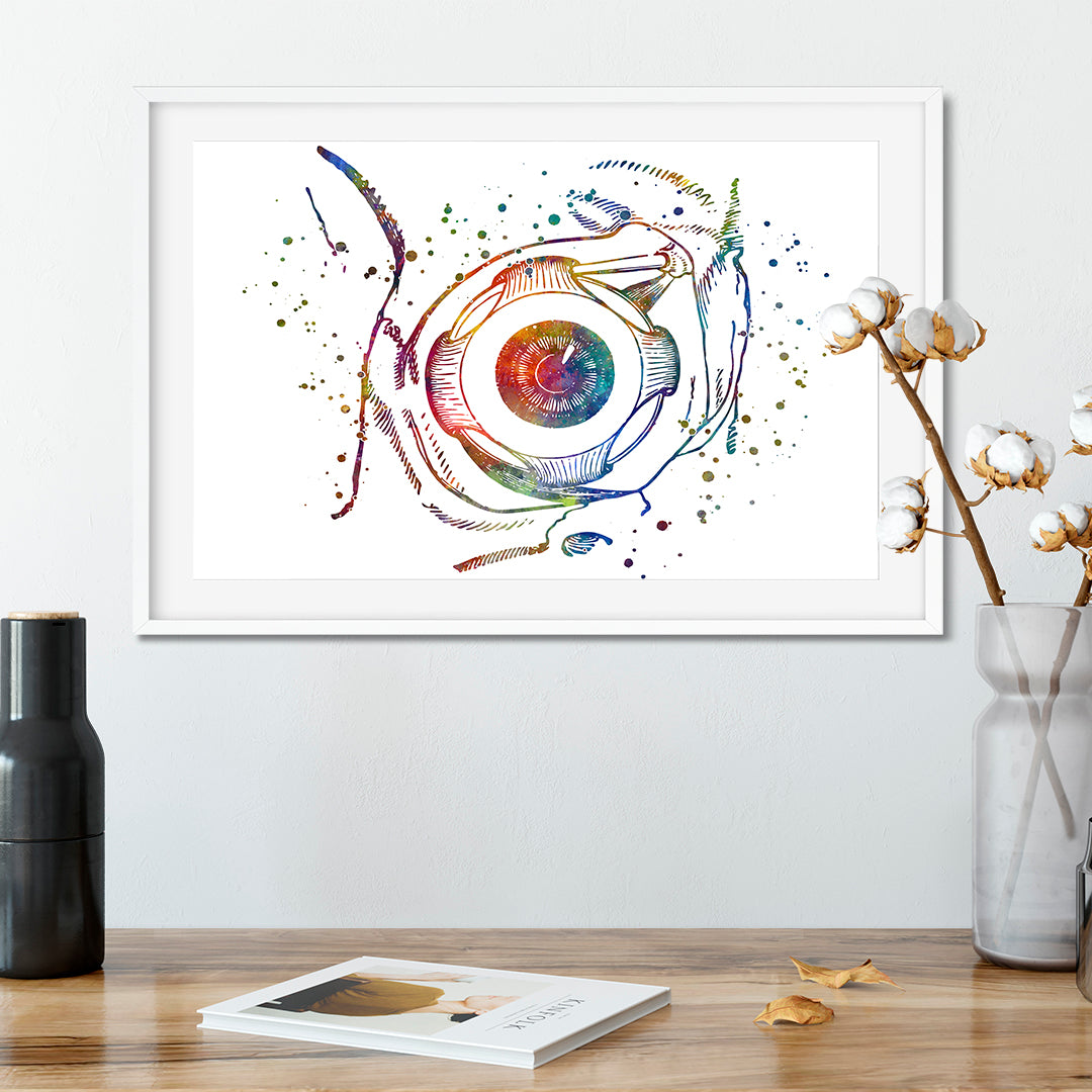 Human eyeball anatomy poster in vibrant colors, a captivating addition for medical decor