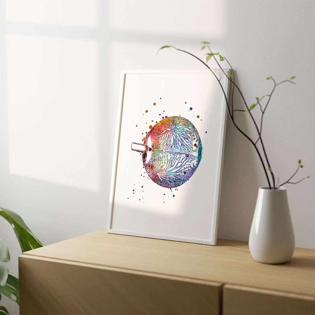 Vibrant eye anatomy watercolor print illustrating neural pathways, ideal decor for neuro-ophthalmologists.